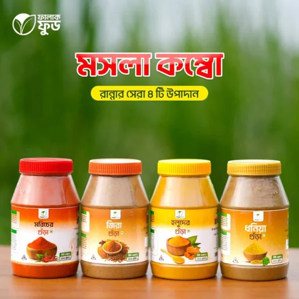 মসলা কম্বো – (ফ্যামিলি প্যাক)